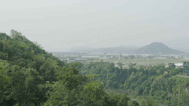 Blue forests and rice fields visible in distance