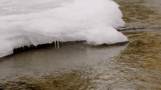 River flowing under a layer of ice