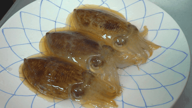 Three fresh cuttlefish on patterned plate