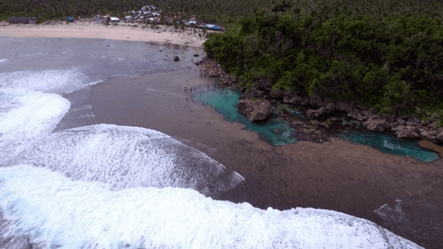 Scenic beach with waves and lush greenery