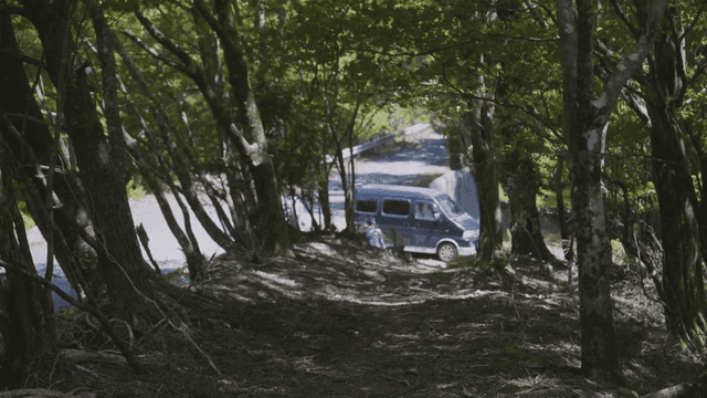 People going down forest path to car