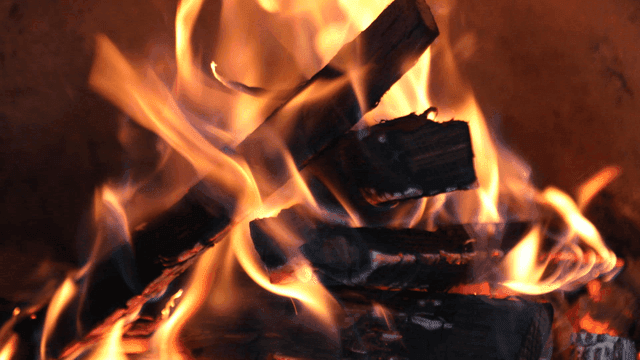 Burning logs with bright flames
