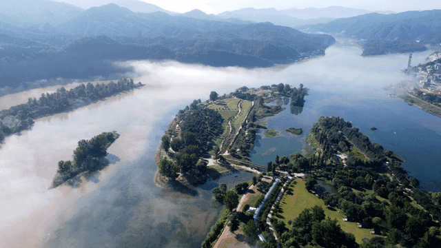 Tranquil river surrounded by green forest