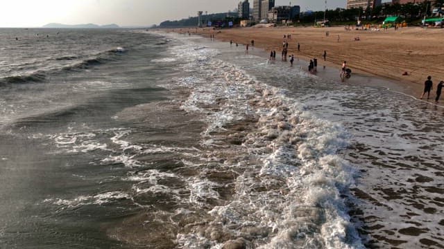 부드러운 파도가 부는 화창한 해변