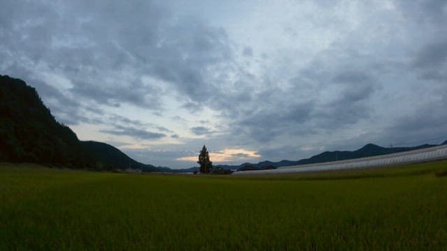 Tranquil Rural Landscape at Twilight