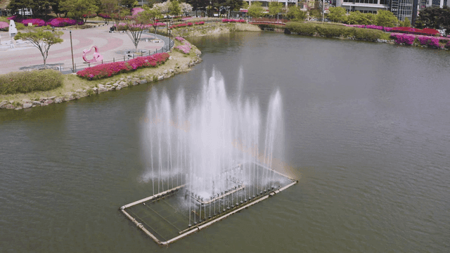 다채로운 꽃이 있는 공원의 분수