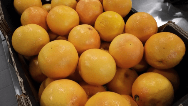 A box of fresh grapefruits in a kitchen