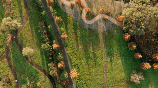 구불구불한 길이 있는 공원의 항공 뷰