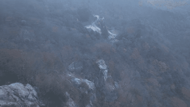 Serene mountains shrouded in fog