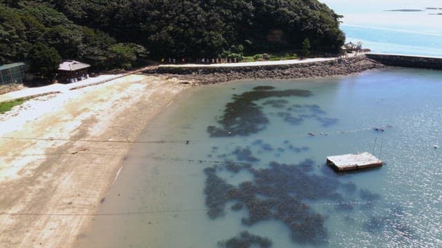 완만한 곡선을 그리는 해안과 숲의 경계