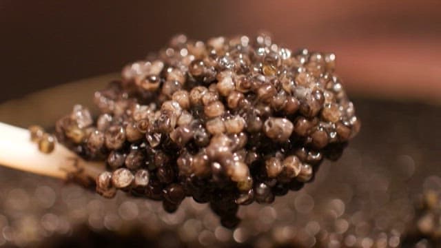 숟가락 위에 올려진 신선한 캐비어