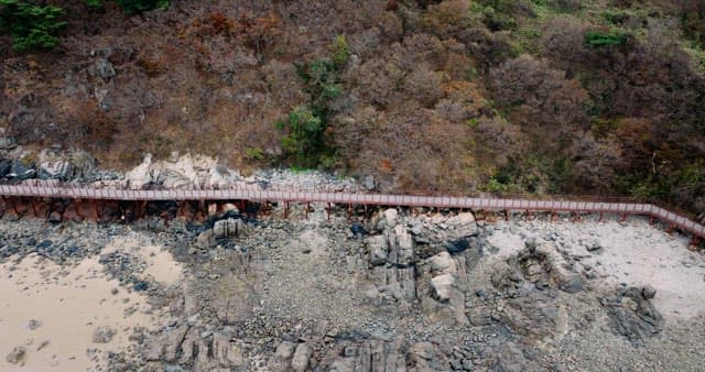 평화로운 바위 해안가와 산책로