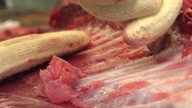 신선한 참치를 능숙하게 손질하는 요리사