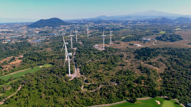 넓은 녹지에 있는 풍력 터빈