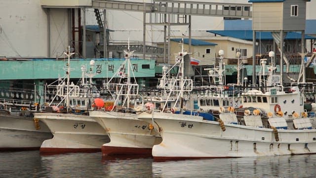 Fishing Boats anchored in a Calm Harbor