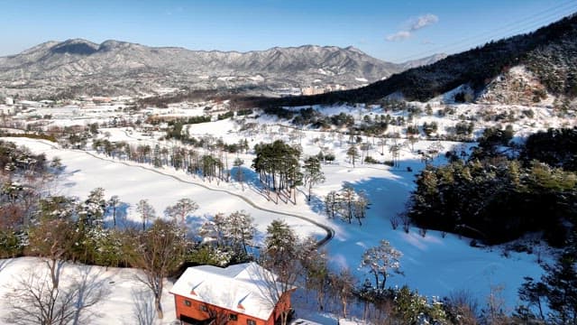 Snowy Landscape with Winding Road and Pine Trees