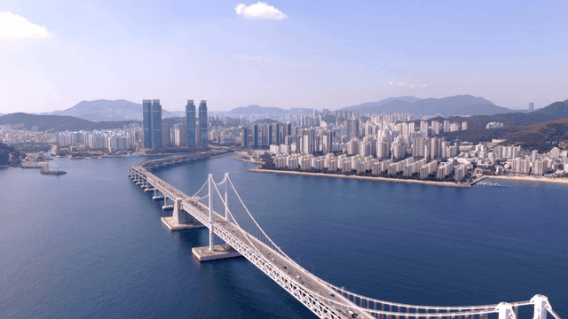 대형 다리가 있는 도시 전경