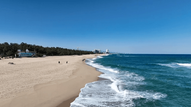 Serene beach with gentle waves