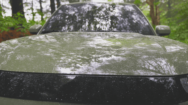 숲 속 빗방울이 맺힌 자동차 보닛