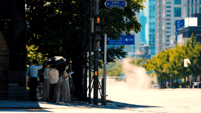 여름 도시에서 횡단보도를 기다리는 사람들