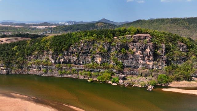 바위 절벽 위의 울창한 숲