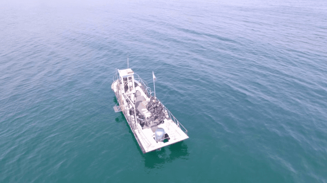 고요한 바다 위의 다이버들이 탄 보트