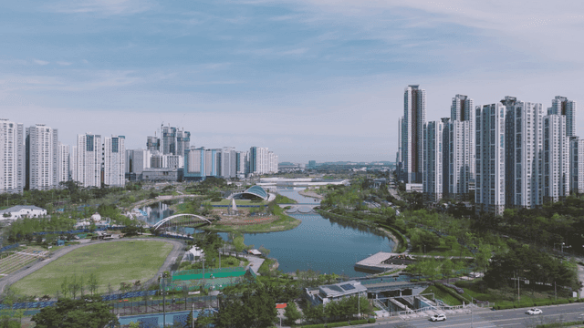 현대 고층 건물들 사이의 호수 공원