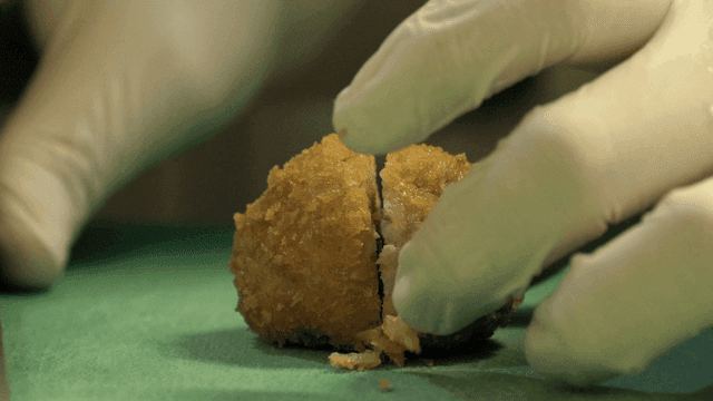 Gloved hands cutting fried food