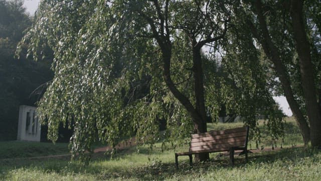 고요한 공원의 그늘진 나무 아래 밴치