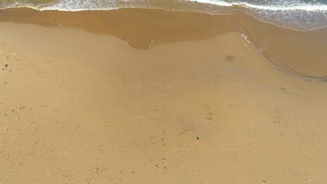 매끄러운 백사장 앞으로 뻗은 초록빛 바다