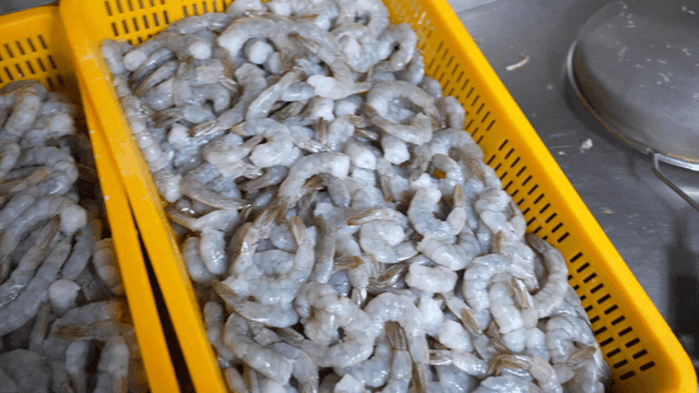 Fresh shrimp filling yellow basket