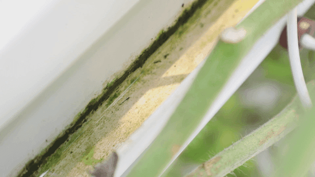 온실 속 흐르는 물