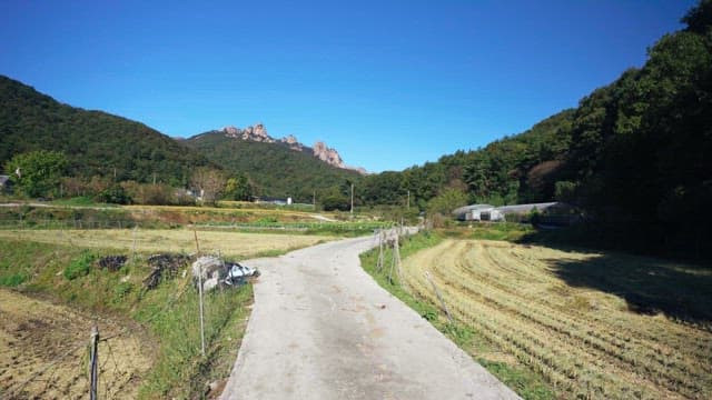 Countryside pathway with agricultural land and distant mountains