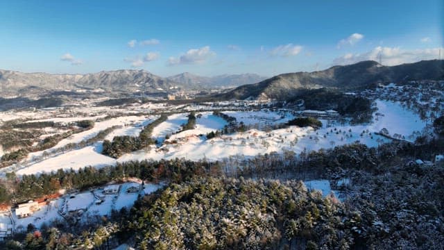 Snowy Landscape with Trees