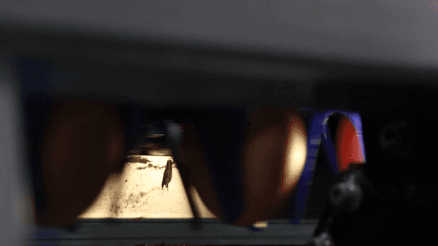 공장에서 빠르게 빛으로 검사되는 계란