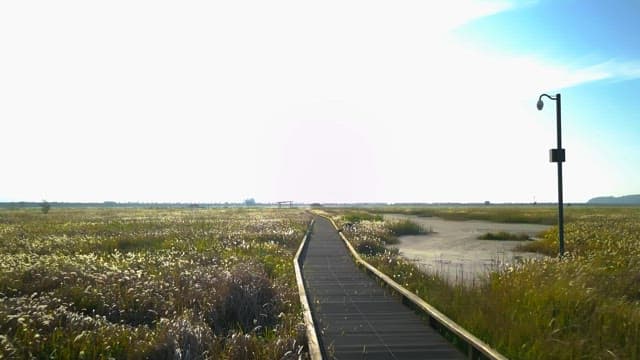 Wooden path through a vast field