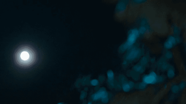 밤하늘의 밝은 보름달