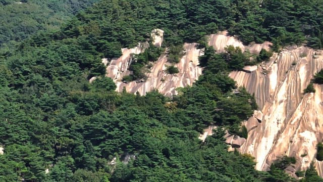 Lush green forest covering Buramsan mountains