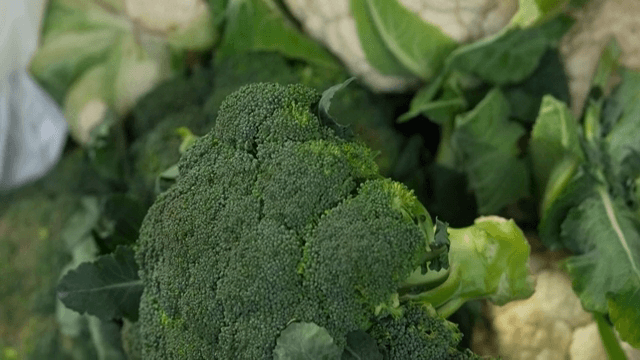 신선한 브로콜리와 콜리플라워 진열