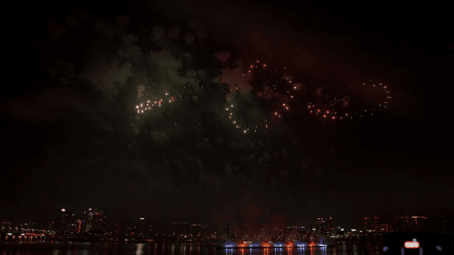 Fireworks shining in night sky