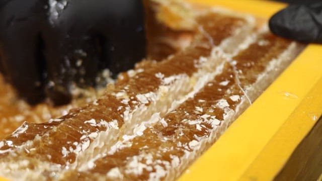 벌집에서 추출한 신선한 벌꿀