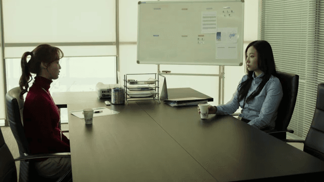 Two women having a meeting in an office