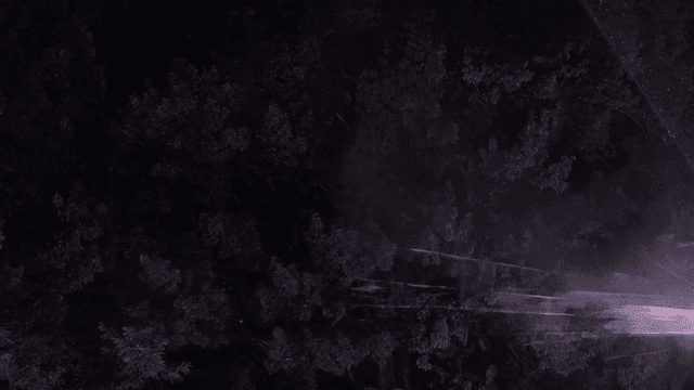 Forest at night with scattered laser light