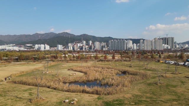 Cityscape with a park and mountains