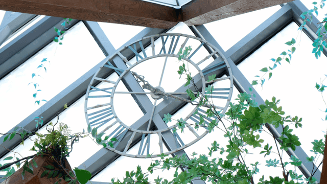 실내에서 녹색 식물로 둘러싸인 시계