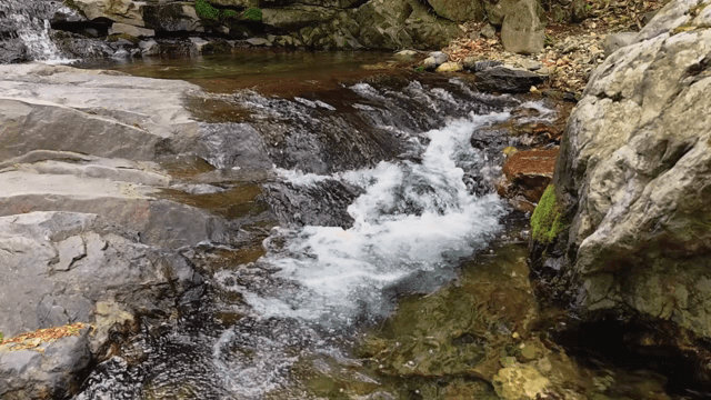 바위 위로 흐르는 고요한 시냇물