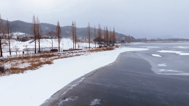 눈 덮인 풍경과 나무들