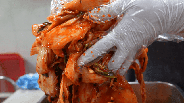 Gloved hand taking well-fermented kimchi in kitchen