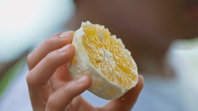 껍질 벗긴 나랑하 조각을 든 사람