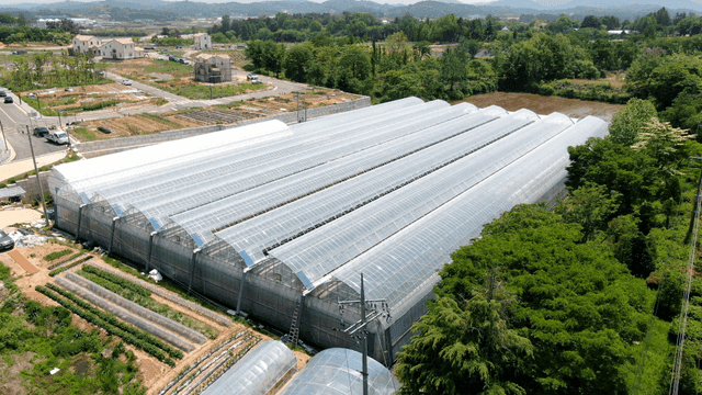 Aerial view of greenhouse in rural area